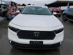 هۆندا ئەکۆرد